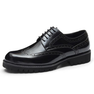 Chaussures habillées pointues de luxe pour hommes - design imperméable haut de gamme - idéales pour les mariages, les fêtes et le travail - Product Image 1