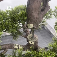 Source usine 100% fait à la main faux cèdre arbre personnalisation Oem & odm Podocarpus grand extérieur intérieur artificiel bonsaï pin