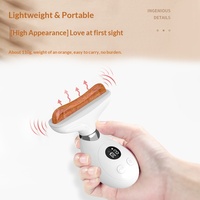 Planche Gua Sha en Pierre Bian BM-41 pour le lifting du visage et le massage des couleurs, appareil de massage lymphatique axillaire rechargeable par USB (Chine)