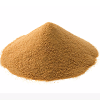 Échantillon gratuit Support de personnalisation Poudre d'extrait de levure de bière naturelle pure Poudre de levure