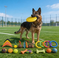 Kit de jouets pour chien en EVA de formes variées avec logo personnalisé, jouets à mâcher pour animaux de compagnie pour les cours de dressage, l'obéissance et les exercices de rapport