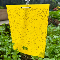 Gele dubbelzijdige kleefstrips insectenlijmplaten voor bladluizen, wittevliegen, schimmelmuggen, fruitvliegen, kas- en tuinplaagbestrijding