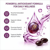 Gélules antioxydantes OEM au resvératrol, CoQ10 et extrait de pépins de raisin, complexe anti-âge pour la protection cardiaque, cutanée et cellulaire, complément pour adultes
