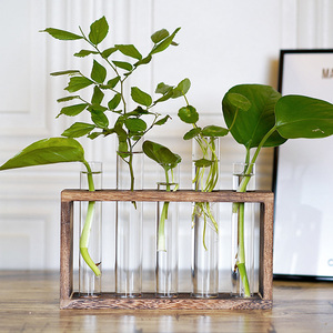 Wholesale Desktop Glass Planter 5 Test Tube Flower <b>Bud</b> <b>Vase</b> in Wood Stand Rack Tabletop Terrarium for Hydroponic Plants - Product Image 3