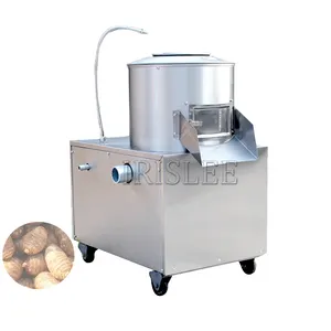 High Speed Roller Cassava Ginger Carrot Potato Peel Brush Clean Fruit Vegetable Washing Stainless Steel Machine