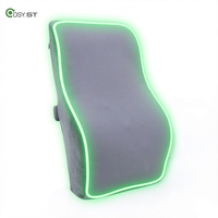 Coussin lombaire en mousse à mémoire de forme – Confortable, soutien ergonomique, portable, lavable, personnalisable pour le soin du bas du dos