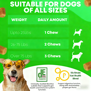 Probiotiques pour chiens OEM ODM Private Label avec prébiotiques favorisant un microbiome intestinal équilibré - Renforce la santé immunitaire - Friandises à mâcher molles - Product Image 5