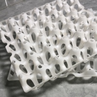 Plateau à œufs en plastique à 30 trous, empilable, adapté au transport d'œufs dans les fermes avicoles.