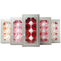 TC vente en gros 4-5cm Austin Rose fleur préservée 8 pièces boîte haute qualité têtes de fleurs éternelles bricolage matériel pour cadeau de saint valentin