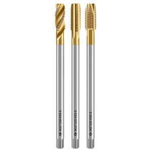 Tiangong Trousseaux de filetage métriques sans copeaux M10x100 HSS-E pour applications en acier - Product Image 1