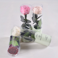 HFloral Saint Valentin Cadeau Fleur Éternelle Rose Préservée Avec Tige Vraie Fleur Préservée Roses d'Austin Pour Fleuriste