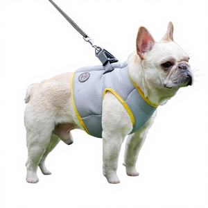 Sangle de poitrine rafraîchissante en maille pour chien, personnalisée, pour la prévention des coups de chaleur estivaux, <span class=keywords><strong>gilet</strong></span> <span class=keywords><strong>rafraîchissant</strong></span> - Product Image 1