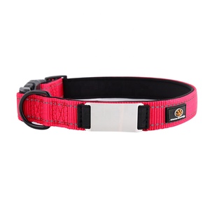 2023 Nieuwe Ontwerp Verstelbare Nylon Hondenhalsband Nacht Veiligheidsreflector Strip Gepersonaliseerde Naamplaatje Hondenhalsband - Product Image 2