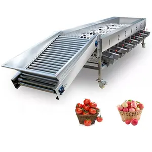 Automatic potato size grading sorting machine sweet potatoes radial sorter and grader line machines equipment price for sale