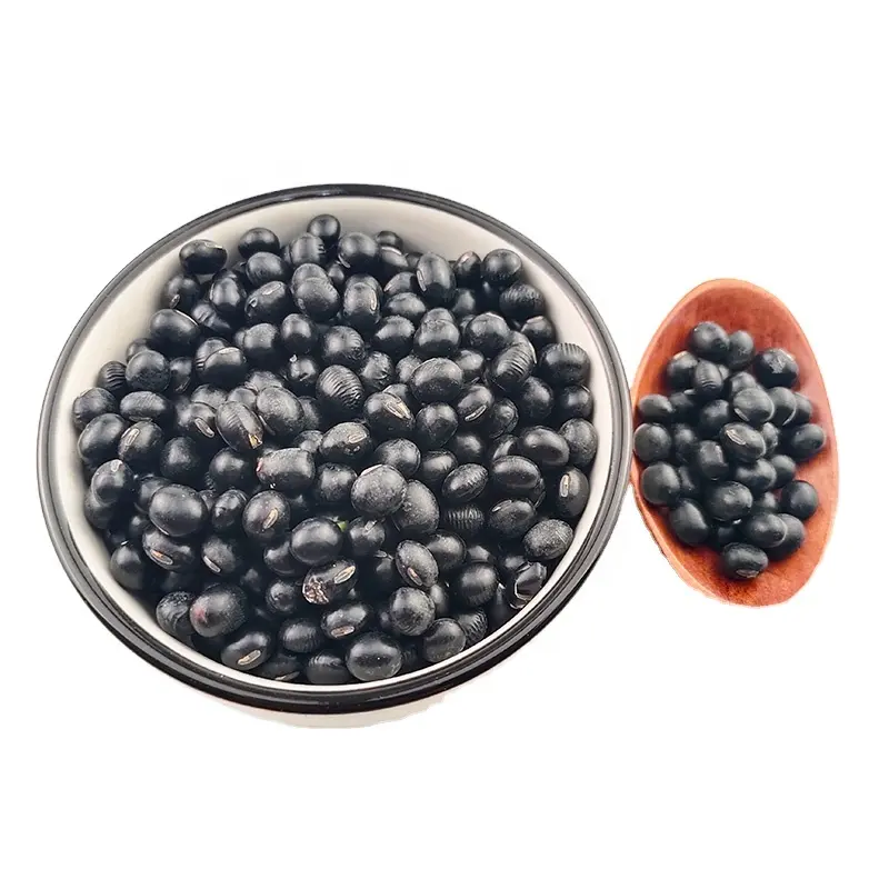 GROSSHANDEL NON-GMO Black Matpe Beans Protein Reich zum günstigsten Preis