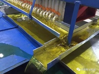 Machine automatique à huile de cuisson de qualité Machine à presser l'huile de coco pour sésame soja noix pour la fabrication de graines de plantes
