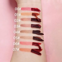 Crayon à lèvres peel-off minéral de haute qualité, longue tenue, waterproof, plusieurs couleurs, avec logo personnalisé – Meilleures ventes