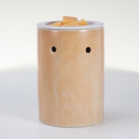 Lampe chauffe-cire électrique en céramique pour cire fondue, bougies et parfums, diffuseur d'arômes, appareil électrique