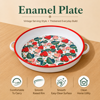 Plaque de cuisson en émail à double poignée, épaisse, pour la préparation de salades de fruits et la cuisson de pizzas, avec logo personnalisé, pour la cuisine domestique et les commandes d'exportation