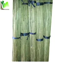 Bambu Guadua Hijau Alami