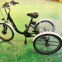 Tricycle cargo électrique adulte à 3 roues, 48V 350W, moteur sans balais, frein à disque, cadre en acier, 24 pouces, vente en gros