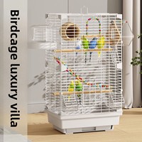 Cage à oiseaux décorative double couche anti-évasion en métal transparent pour perroquets, perruches, paons et calopsittes – Vente en gros