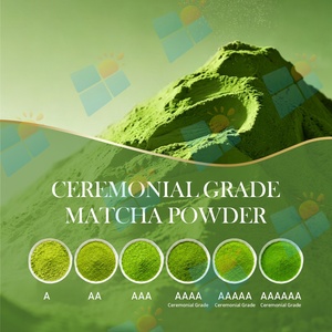 OEM ODM Private Label Electrolyte Matcha Powder Hydration <strong>Drink</strong> Mix with Natural Electrolytes and Custom Formula Packaging - Product Image 6