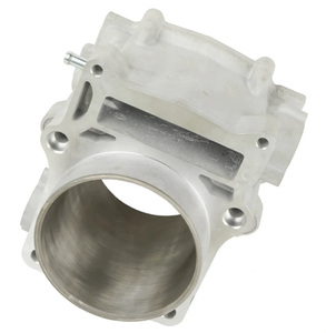Bloc-cylindre <span class=keywords><strong>de</strong></span> moto haute performance 102 mm, fourni par l'usine, Yam Aha Grizzly 700 YFM700FG FGP 2007-2015, gros alésage - Product Image 4