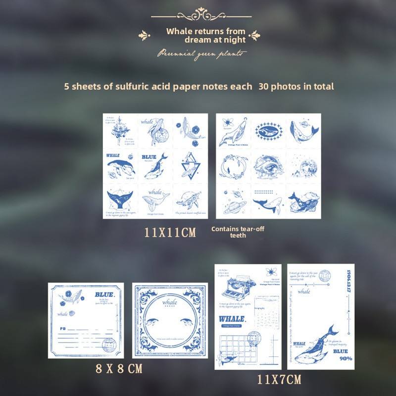 Un rêve nocturne de baleine-blanc