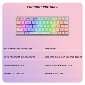 <span class=keywords><strong>Clavier</strong></span> <span class=keywords><strong>gamer</strong></span> personnalisé 60% 63 touches <span class=keywords><strong>Clavier</strong></span> mécanique blanc PC filaire RGB Mini <span class=keywords><strong>clavier</strong></span> de jeu pour ordinateur portable - Product Image 2