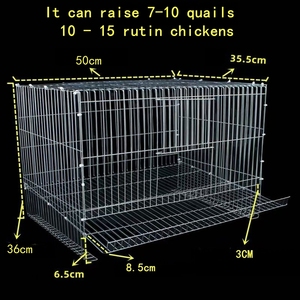 Nouvelles cages à cailles automatiques de type H pour la production commerciale, écologiques, avec 1 an de garantie - Product Image 5