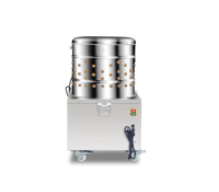 Machine Combinée Échaudeuse et Plumeuse Automatique pour 5-6 Poulets en Acier Inoxydable de Bonne Qualité