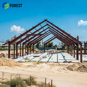 High Performance Steel Structure Warehouse Prefabricated Religious Meeting Space Construction Manufacturer OEM ODM - Product Image 1