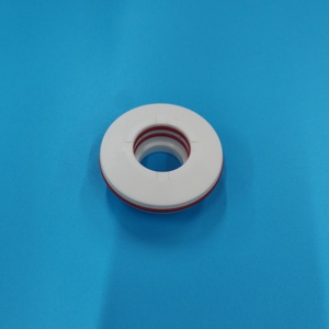 تركيبات النفخ الملء تدور أجزاء الآلات المخصصة ل KHS ضربة تدور المكبس - Product Image 4