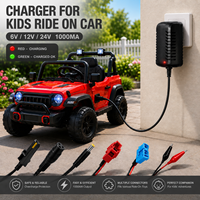 Chargeur de batterie au plomb pour voitures électriques pour enfants 6V 12V 24V avec protection de charge sécurisée - Fabricant OEM ODM