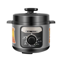 Cuisine de vente directe d'usine cuisson multifonction chauffage 6L 220V autocuiseur électrique sans fréon au Maroc