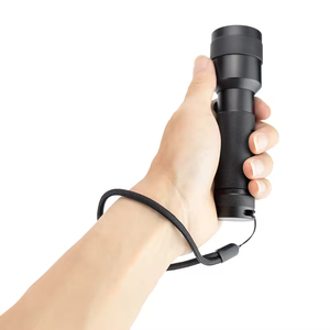 Nhà sản xuất tùy chỉnh Hợp kim nhôm Led 395nm Blacklight <span class=keywords><strong>UV</strong></span> đèn pin cho cắm trại - Product Image 2