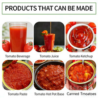 Machine de fabrication de pâte de tomate à petite échelle en acier inoxydable de qualité alimentaire, capacité personnalisable, usine de transformation des légumes en Chine
