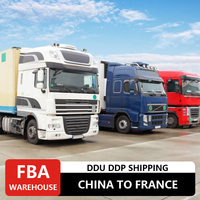Servicio Puerta a Puerta de China a Francia, Servicio de Transporte Marítimo LCL, Soporte para Despacho de Aduanas