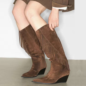 Botas Largas de Invierno Estilo Western con Tacón de Cuña Alta, Borlas Laterales, Punta Puntiaguda, de Gamuza, con Flecos, para Mujer - Product Image 1