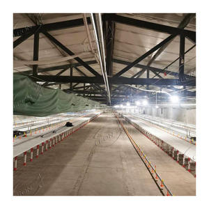 בשר חזיר אוטומטי <span class=keywords><strong>broiler</strong></span> מניות בשר עוף חקלאות בשר עוף - Product Image 6