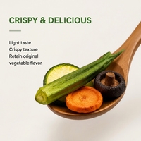 Vente en gros de snacks santé, aliments de loisirs, fruits secs biologiques mélangés et chips de légumes, snacks de fruits surgelés