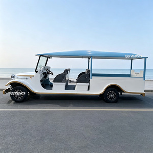 Carro Fúnebre Eléctrico de Bajo Consumo con Suspensión Suave y Operación Cómoda para el Transporte de Ataúdes a Larga Distancia - Product Image 1