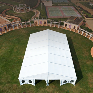 Bâtiments de type hangar 40x80 pour abri à sel pour moutons, couvertures de stockage d'engrais, structure de toit tendu - Product Image 3