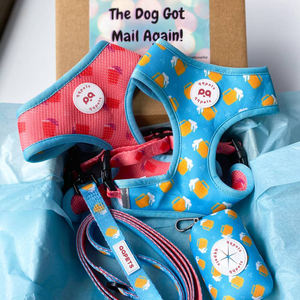 QQPETS özelleştirilebilir çeşitli stil köpek tasma ve zincir seti, kişiselleştirilmiş Logo ile ayarlanabilir naylon Pet ürünleri - Product Image 4