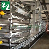 Système de cages à batterie automatiques professionnelles pour poulets de chair à prix d'usine à vendre