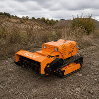 Mesin pemotong rumput Robot Remote Control pemotong sikat perayap industri kualitas tinggi disetujui CE untuk mesin pemotong rumput pertanian