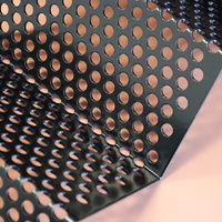 Plaques en maille perforée en acier inoxydable personnalisées pour hôtels, bureaux, bâtiments, hôpitaux, écoles - Écrans décoratifs de protection |