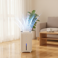 Dehumidifier Anti Jamur Baru yang Efisien, Dehumidifier Kamar Tidur Rumah Tangga yang Senyap dan Kecil, Dehumidifier Mini Anti Lembab