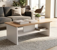 Table de réception de bureau moderne minimaliste écologique à hauteur réglable, plateau en bois E1 ignifuge en mélamine